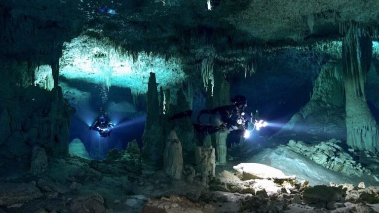 Dama blanca: el pez fantasmal de Yucatán que merodea en los cenotes| Video