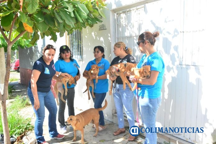 El Ayuntamiento de Colima gestiona entrega de perritos en la Colonia Lázaro Cárdenas