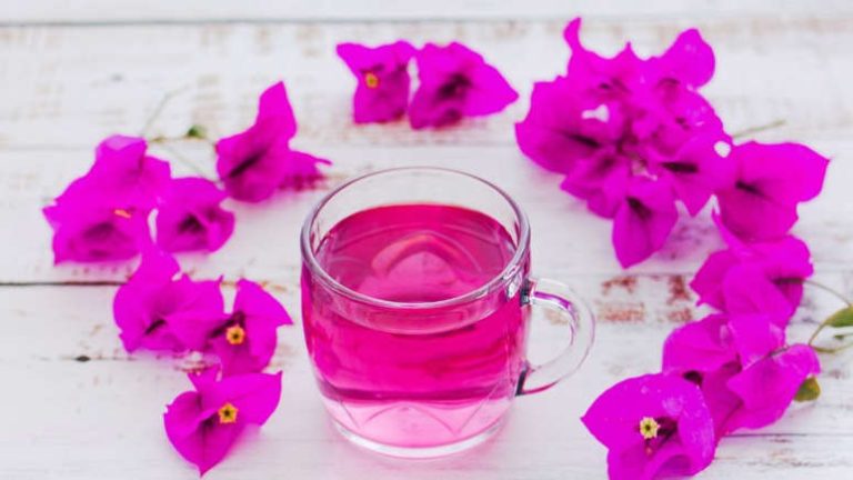 ¿Cuáles son los beneficios de la flor de bugambilia?