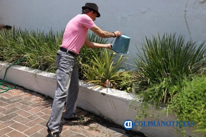 Focaliza Salud Colima el control larvario en 9 colonias y fraccionamientos