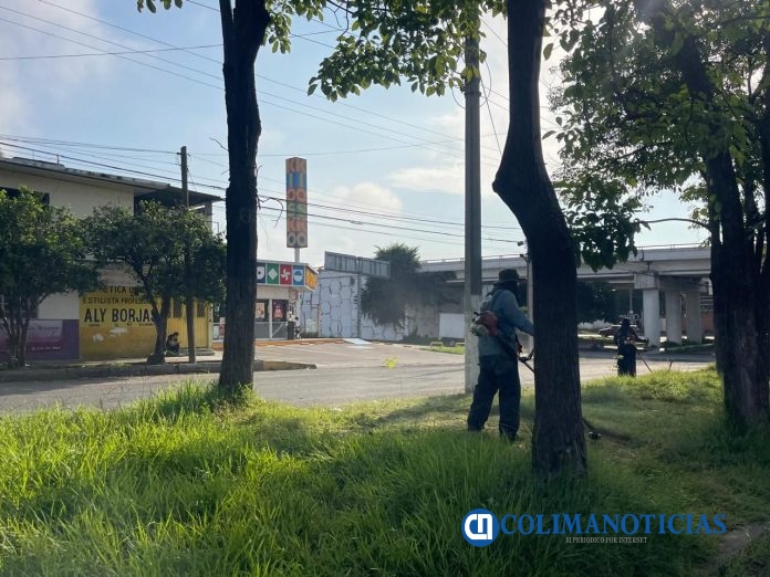 Gobierno de Riult Rivera refuerza limpieza y mantenimiento de camellones en la zona oriente (2)