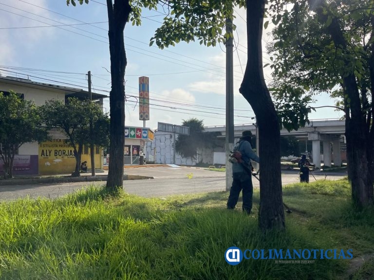 Gobierno de Riult Rivera refuerza limpieza y mantenimiento de camellones en la zona oriente