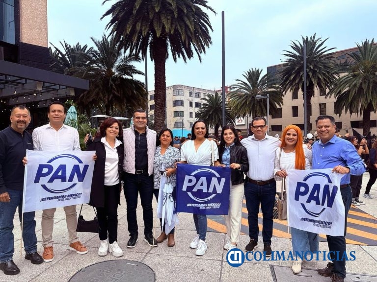 El PAN será un instrumento al servicio de la Sociedad; Alberto Partida
