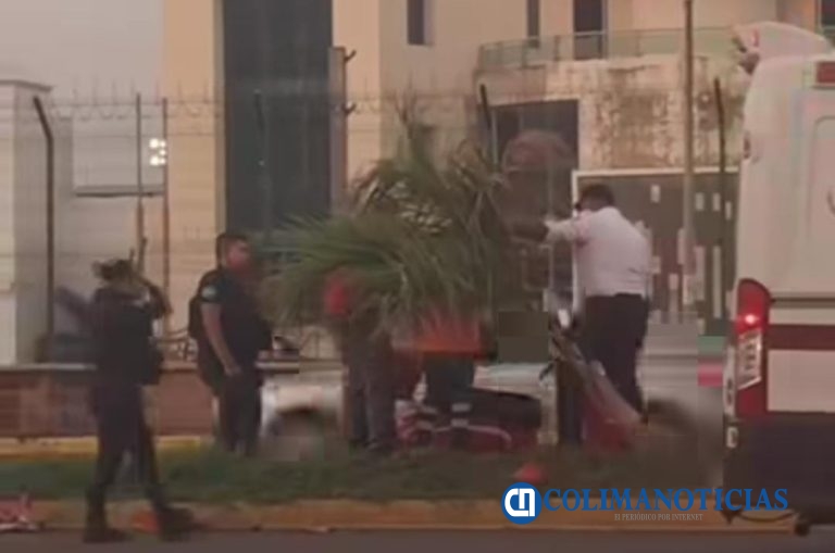 Motociclista chocan en una palmera del boulevard a la altura de Fondeport