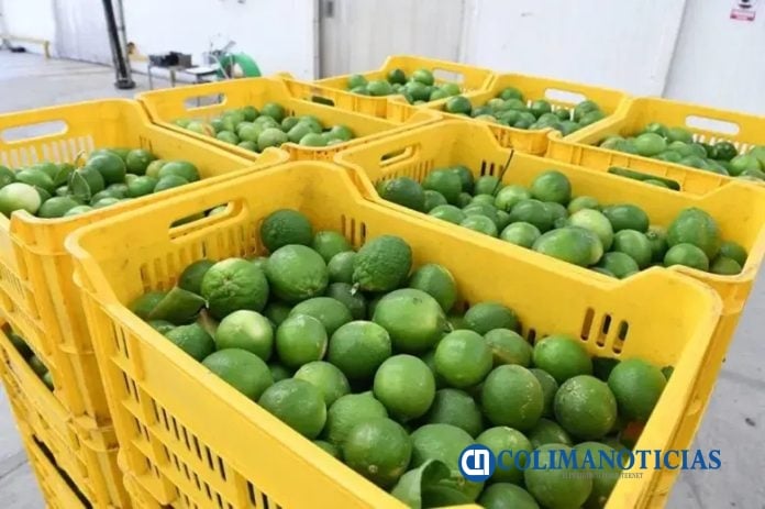 Precios de Limón