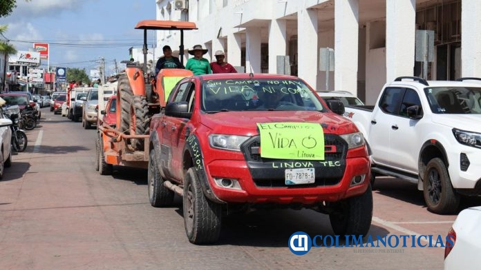 Productores de limón se manifiestan en Tecomán (7)