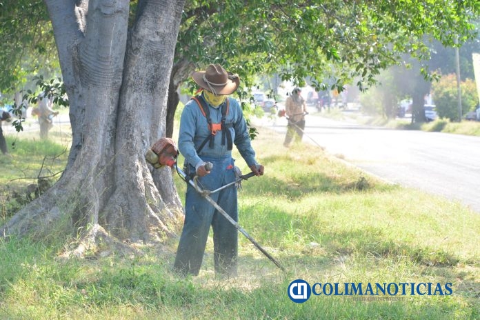 Queremos una ciudad más limpia y bonita para todas las familias Riult Rivera (3)