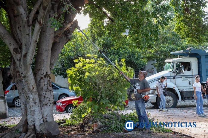Riult Rivera impulsa brigadas que renuevan y dan vida a los espacios públicos (2)