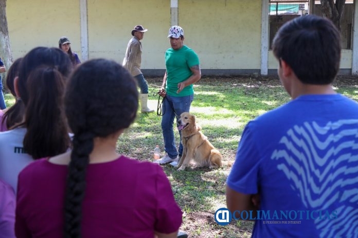 Taller de adiestramiento canino, en Tecomán_a