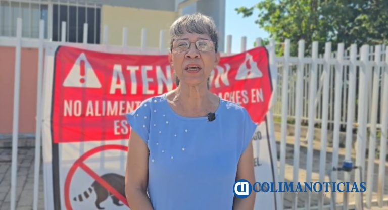 Riesgo sanitario en primaria José Santos Valdez por presencia de mapaches