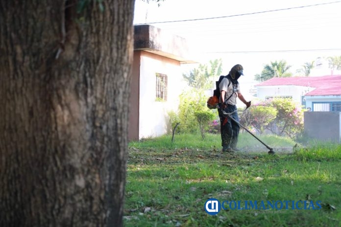 Colima se ve y se siente mejor continúan las labores de limpieza y poda en toda la ciudad