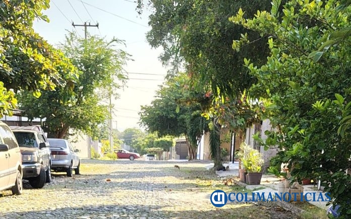 Colonia Palo Alto