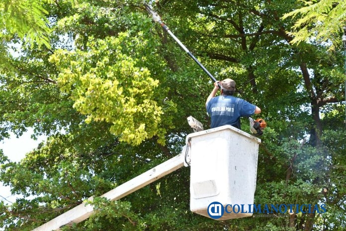 Continúan los trabajos en parques y jardines de Colima