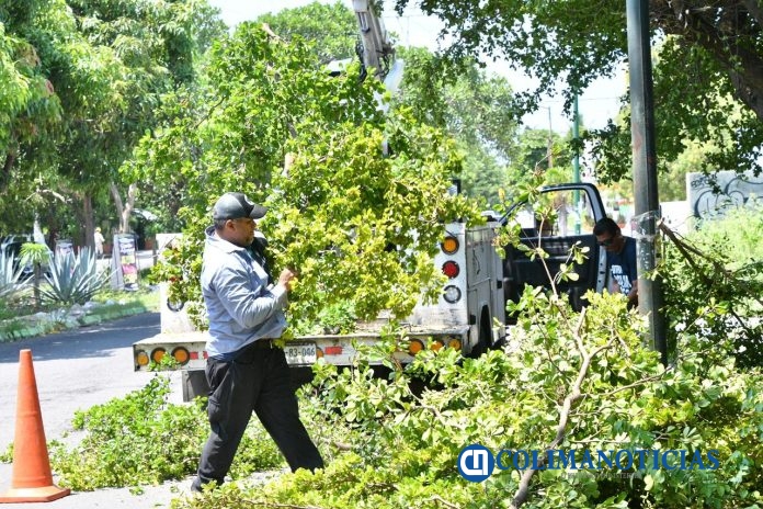 Dirección de Parques y Jardines del Ayuntamiento (4)