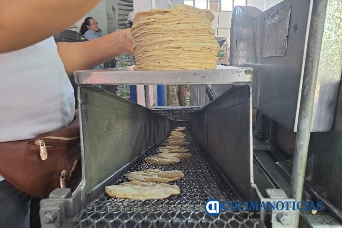 El precio promedio del kilo de tortilla en Colima