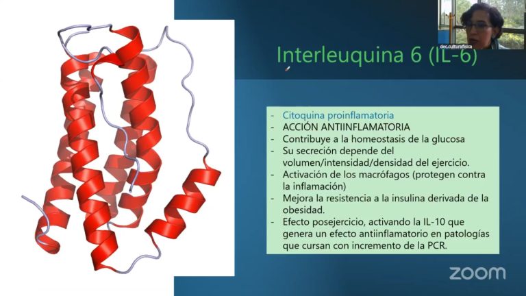 Explican cuáles ejercicios físicos son mejores para la salud, en Expo Neuro 2025