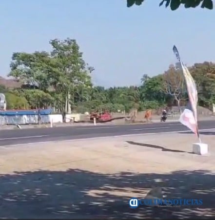Accidente de moto contra palmera