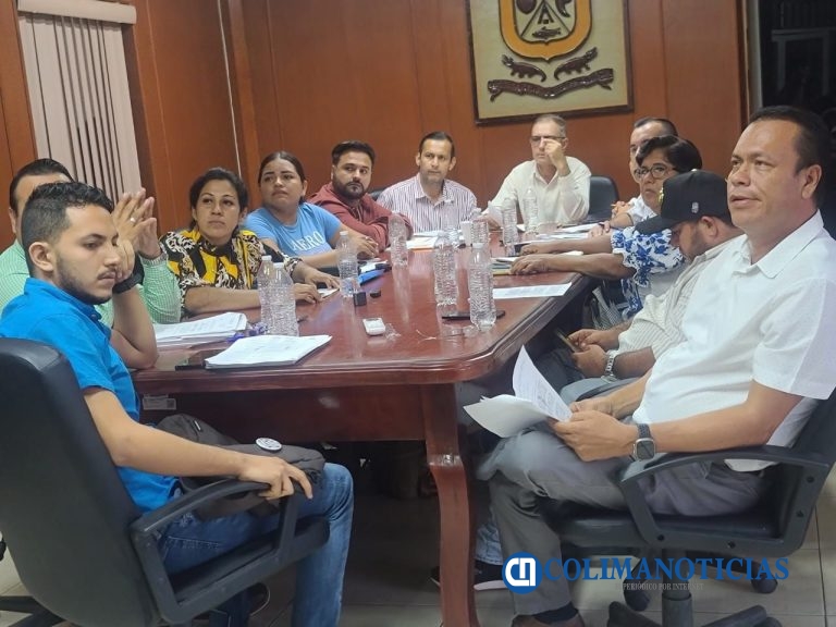 Analizan erradicar en Armería la pirotecnia por riesgos y contaminación auditiva