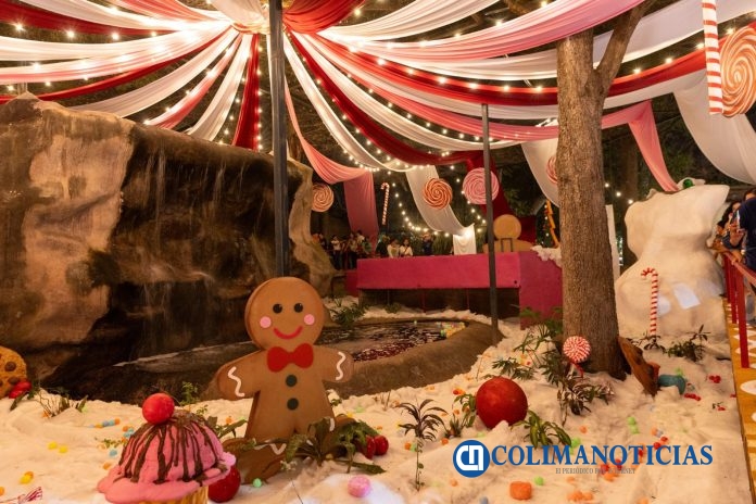 Bosque Navideño (3)