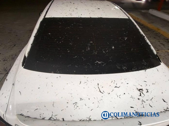 Cae ceniza por fuerte quema de caña y afecta a vecinos de Tecomán