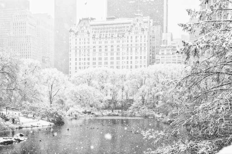 Central Park se cubre de blanco
