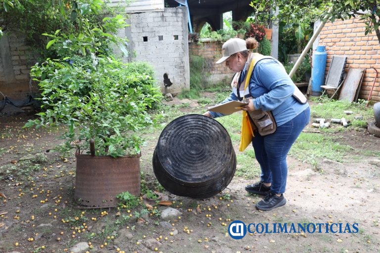 Salud Colima mantiene el control larvario en municipios en riesgo de dengue