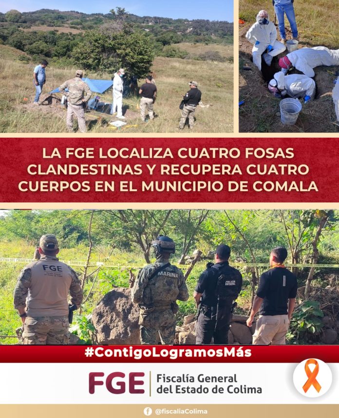 FGE COLIMA