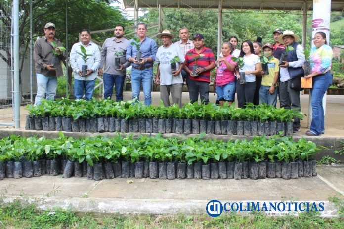 Gobierno del Estado de Colima abre convocatoria para apoyar a productores agrícolas
