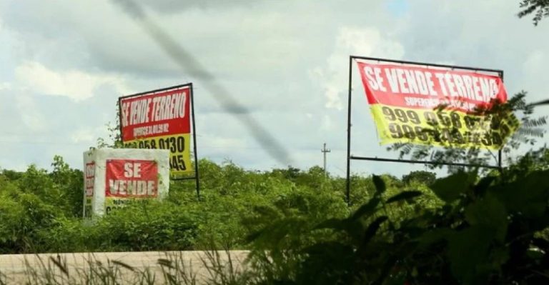Operación Despojo en Yucatán