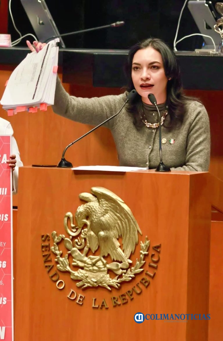 Resumen anual de trabajo legislativo de la senadora Mely Romero