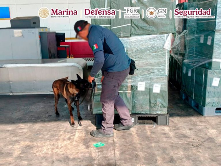 Aseguran casi 20 toneladas de tabaco ilegal en el AICM