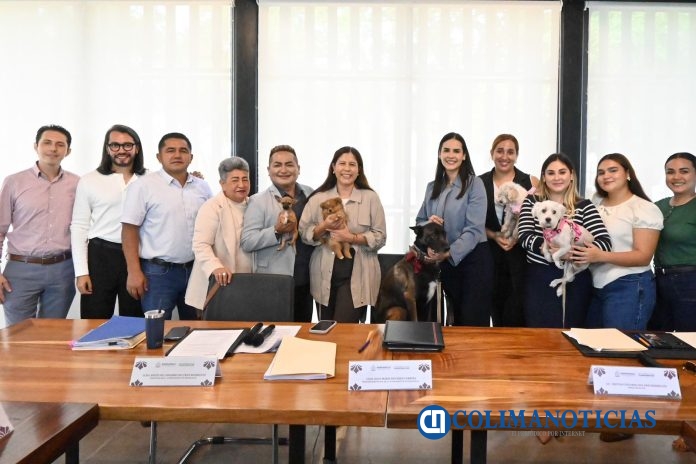 Bienestar Animal; Manzanillo
