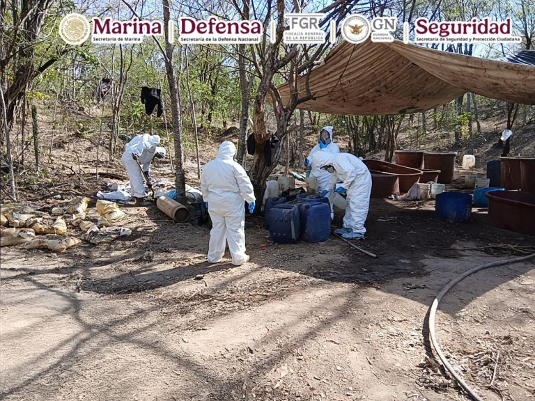 Desmantelan tres narcolaboratorios de metanfetaminas en Michoacán, Durango y Sinaloa: García Harfuch