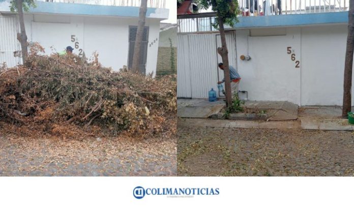 Dirección de parques y jardines, atiende queja ciudadana; recoge ramas de la vía pública