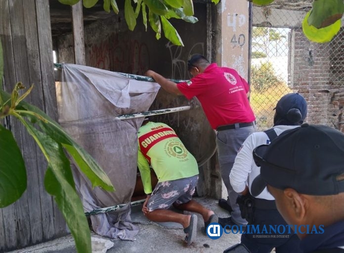 Guardavidas de la UEPC y cuerpos de emergencia de Manzanillo