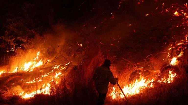 Crisis en Chile por incendios forestales