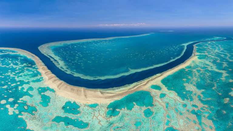La Gran Barrera de Coral: el ecosistema vivo más grande del planeta amenazado por el cambio climático
