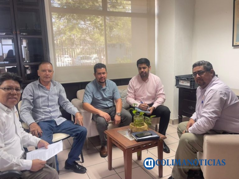 Plantean instalación de báscula para regular transporte de carga en Armería