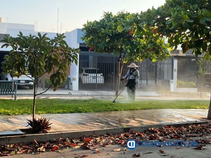 Por un Colima limpio y seguro, avanzan labores de Parques y Jardines