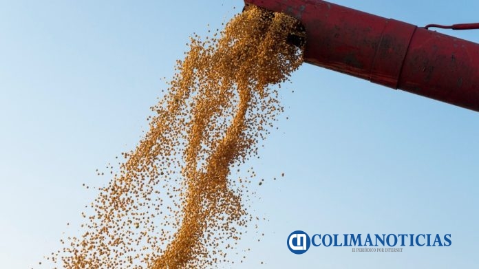 Un millón 733 mil toneladas de carga agrícola a granel manejo el Puerto de Manzanillo, en 2025