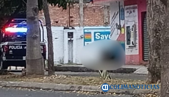 Violencia VdeA