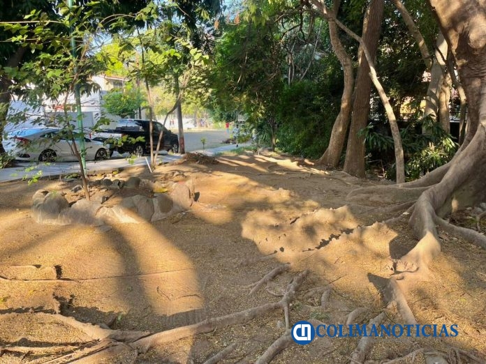 Ayuntamiento de Colima realiza brigada de limpieza en Jardines de las Lomas
