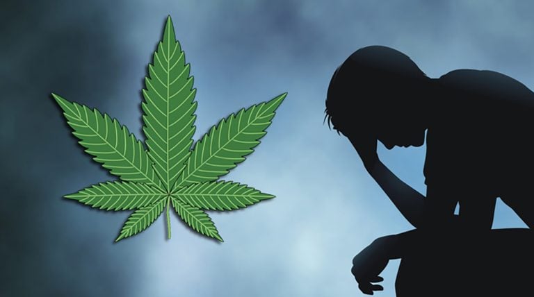 Consumo de cannabis y su relación con la aparición de trastornos psicóticos