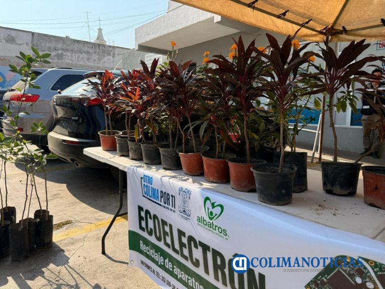Con Ecoelectron, Riult Rivera acerca el reciclaje a las familias y apoya a Albatros IAP
