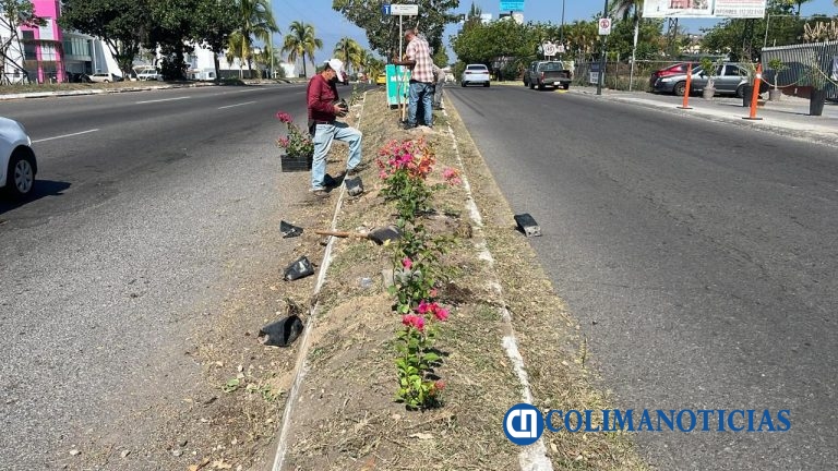 Cuadrilla de Parques y Jardines realiza labores de limpieza en el Tercer Anillo Periférico