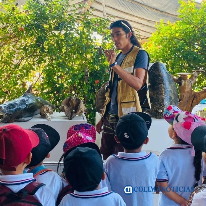 El Tortugario de Cuyutlán opera sin apoyos gubernamentales y depende de visitas para subsistir