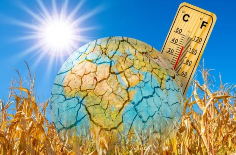 Enero de 2026 es oficialmente el quinto enero más cálido registrado