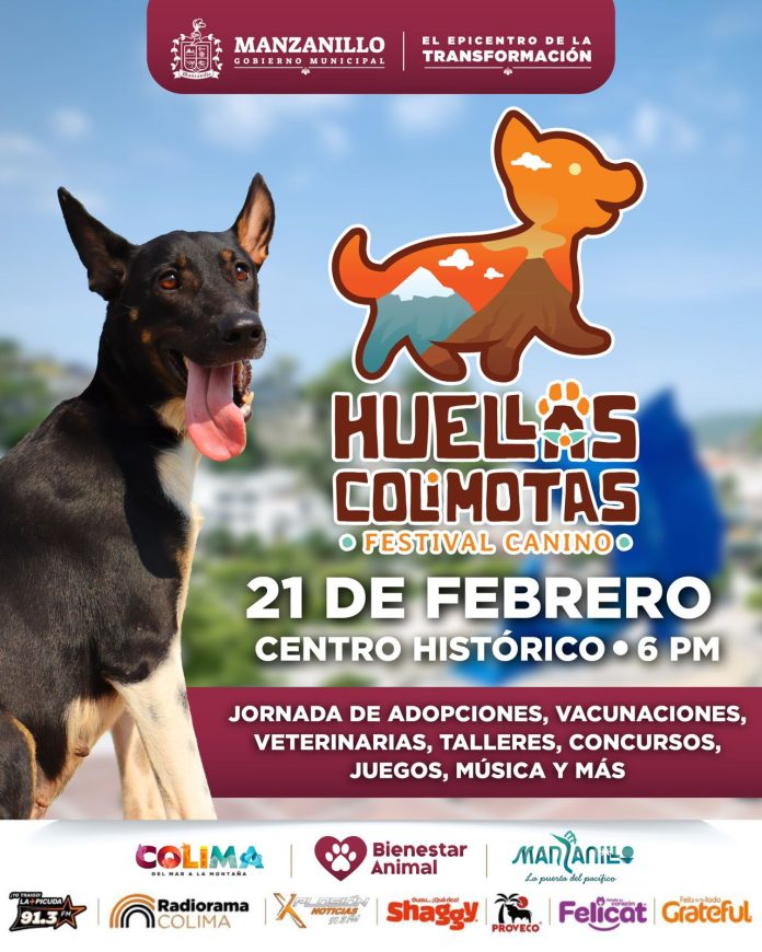 Gobierno de Rosi Bayardo impulsará adopciones responsables en el Festival “Huellas Colimotas”