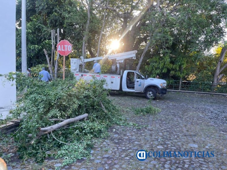 Intensa campaña de recolección basura, podas, mantenimiento de jardines y áreas verdes y pintado de machuelos realiza el Ayuntamiento: Riult Rivera