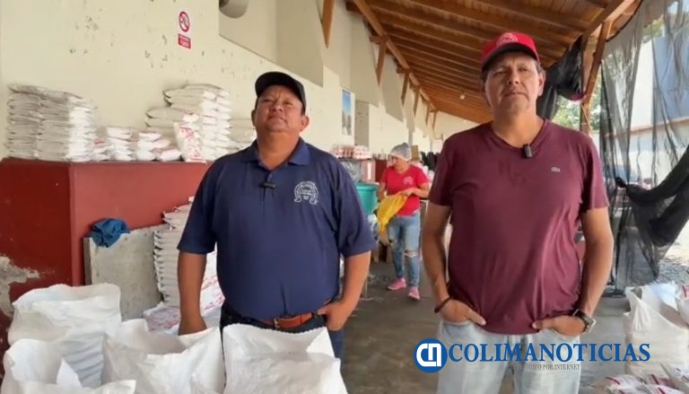 El precio de la sal sigue bajo, productores de Colima buscan comercialización nacional e internacional